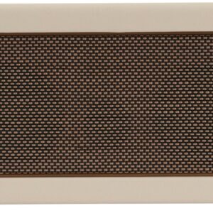 Positive Grid Spark 40w Practice Amp in Pearl