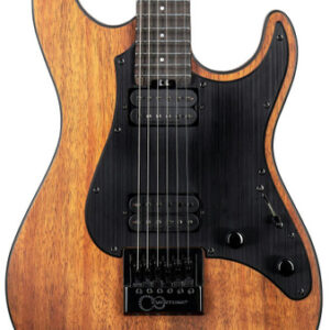 ESP LTD SN-1000 EVERTUNE Electric Guitar in Koa Natural Satin