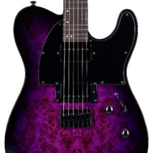 ESP LTD TE-200DX Electric Guitar in Purple Burst