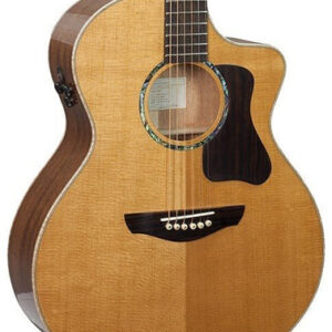 Faith Guitars PJE Legacy Series Mahogany Neptune Electro Acoustic with Cutaway