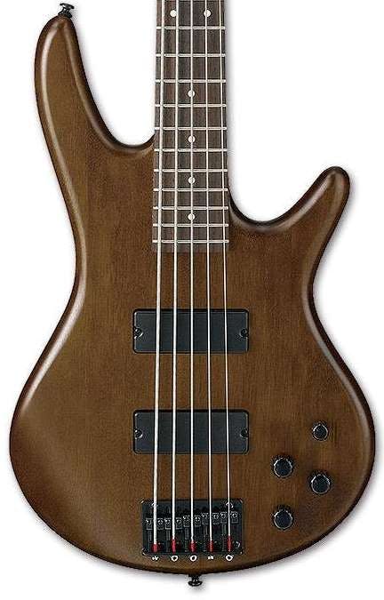 Ibanez GSR205B 5-String Bass Guitar in Walnut Flat