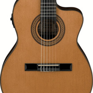 Ibanez Thinline Classical Electro Acoustic in Amber