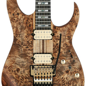 Ibanez RGT1220PB-ABS Premium Electric Guitar in Antique Brown Stained Flat