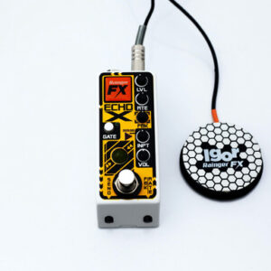 Rainger FX Echo-X Delay Pedal