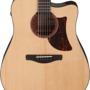 Ibanez AAD170CE Grand Dreadnought Electro Acoustic in Natural Low Gloss