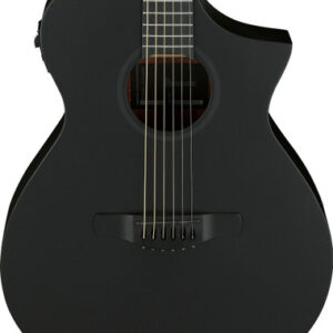 Ibanez AEWC621-BOT AEWC Series Electro Acoustic Guitar in Black Out