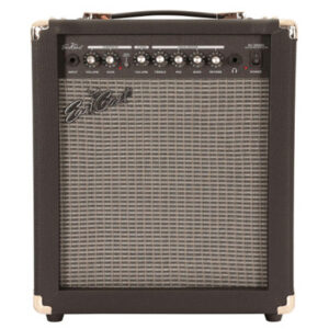 B Stock Eastcoast EC-G35GRII 35w Guitar Amp with Reverb 004