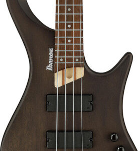 Ibanez EHB600-WNF EHB Series Bass Guitar in Walnut Flat