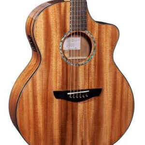 Faith FX Series Neptune Harvest Moon Electro Acoustic