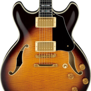 Ibanez JSM100 John Scofield Guitar in Vintage Sunburst