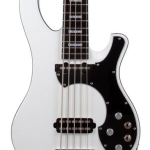 Schecter Stargazer-5 Bass Guitar in Gloss White