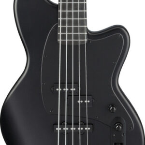Ibanez TMB425B-BKF TMB Series 5-String Bass Guitar in Black Flat