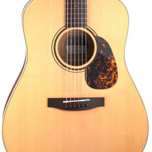 Furch Vintage 1 Series D-SM a Acoustic Guitar