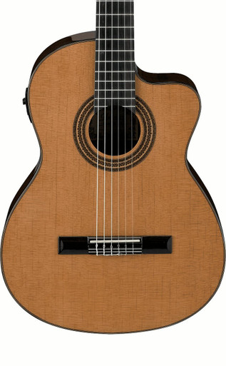 Ibanez GA6CE Classical Guitar in Amber - Image 3