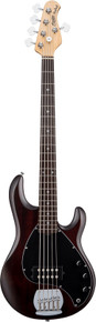 Sterling by Music Man StingRay Ray5 5-String Bass Guitar in Walnut Satin - Image 2
