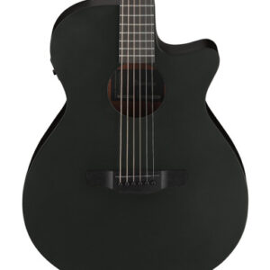 Ibanez AEG621-BOT Electro Acoustic Guitar in Black Out