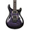 PRS Custom 24 "Floyd" Electric Guitar in Purple Mist (19857) - Image 2