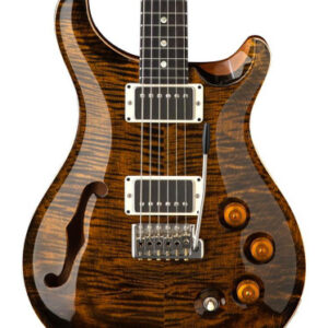 PRS DGT Semi-Hollow David Grissom Signature Electric Guitar in Tiger Eye with Moon Inlays
