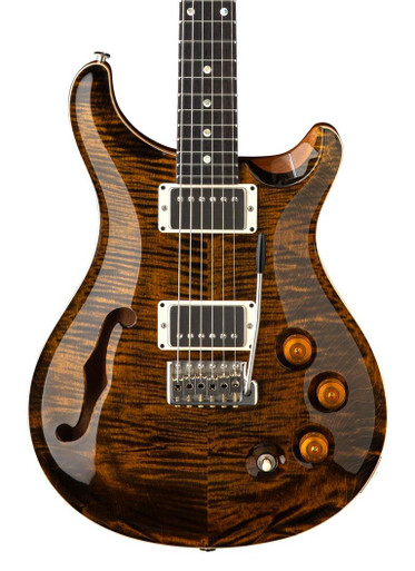 PRS DGT Semi-Hollow David Grissom Signature Electric Guitar in Tiger Eye with Moon Inlays - Image 1