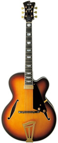FGN Masterfield MFA-FP Hollowbody Electric Guitar in Jazz Burst - Image 2