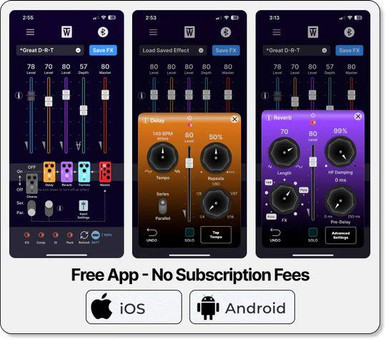 ToneWoodAmp2 for Electro Acoustic Guitar - Image 3