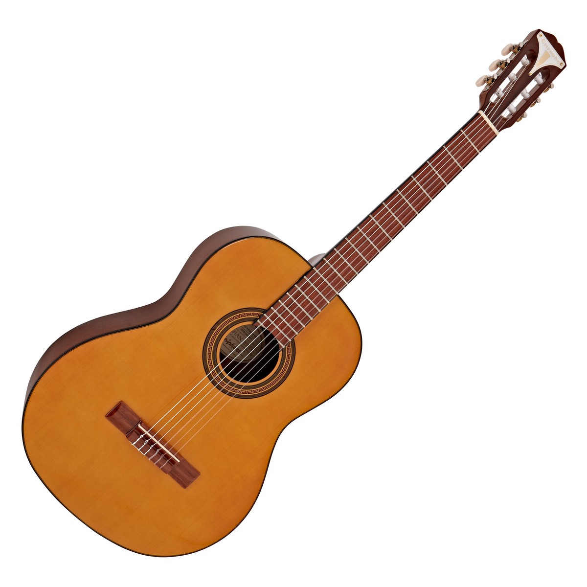 Epiphone Pro-1 Classical Guitar