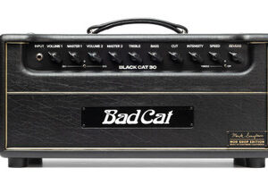 Bad Cat Mod Shop Black Cat 30 Valve Amp Head