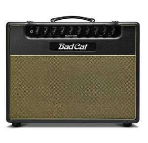 Bad Cat Black Cat 1x12 20W Valve Amp Combo
