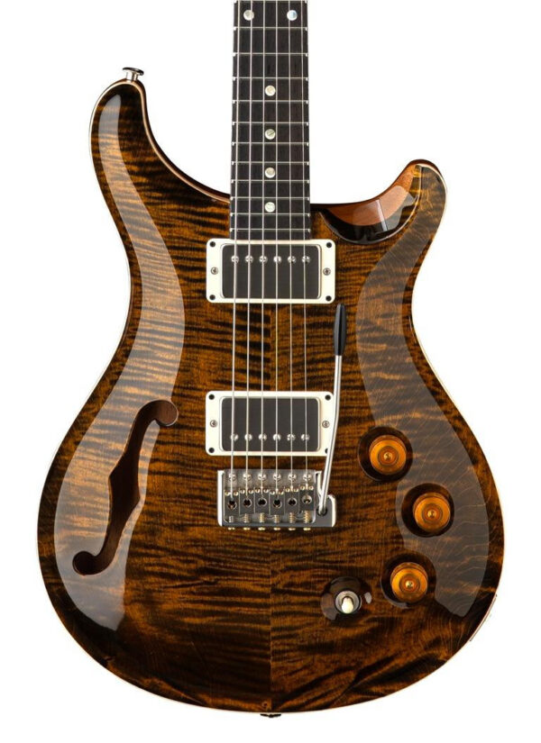 PRS DGT Semi-Hollow David Grissom Signature Electric Guitar in Tiger Eye with Bird Inlays - Image 1