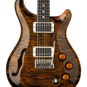 PRS DGT Semi-Hollow 10 Top David Grissom Signature Electric Guitar in Tiger Eye with Bird Inlays