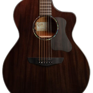 Faith Nexus Series Neptune Cutaway Electro Acoustic in Thru-Black