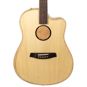 LR Baggs AEG-1 Electro Acoustic Guitar in Natural