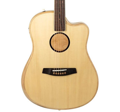 LR Baggs AEG-1 Electro Acoustic Guitar in Natural - Image 1