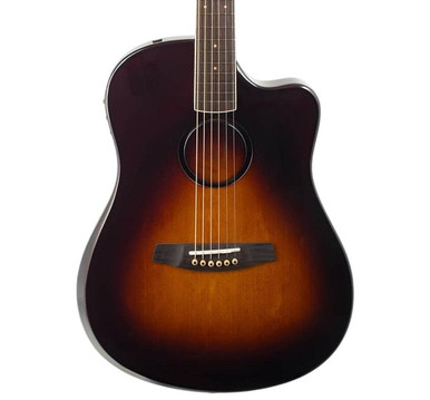 LR Baggs AEG-1 Electro Acoustic Guitar in Sunburst - Image 1
