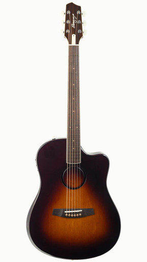 LR Baggs AEG-1 Electro Acoustic Guitar in Sunburst - Image 2