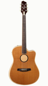 LR Baggs AEG-1 Electro Acoustic Guitar in Torrified - Image 3