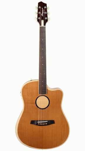 LR Baggs AEG-1 Electro Acoustic Guitar in Torrified - Image 2
