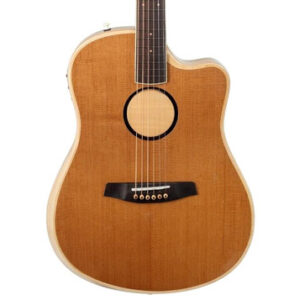 LR Baggs AEG-1 Electro Acoustic Guitar in Torrified