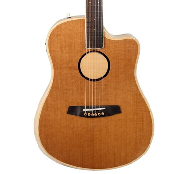 LR Baggs AEG-1 Electro Acoustic Guitar in Torrified - Image 1