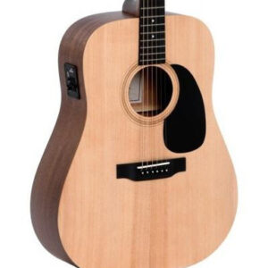 Sigma DME Dreadnought with Mahogany Back & Sides