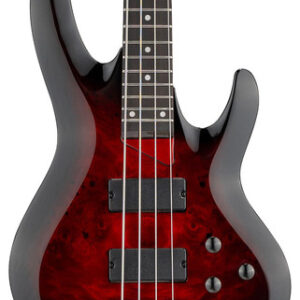 ESP LTD B-204DX Bass Guitar in Red Burst