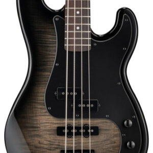 ESP LTD SURVEYOR-204DX Bass Guitar in Black Burst
