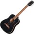 Epiphone J-45 Express Ebony - Image 3