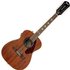 Fender Tim Armstrong Hellcat 12 String Electro Acoustic Mahogany - Image 3