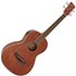 Ibanez PNB14E Electro Acoustic Bass Open Pore Natural - Image 3