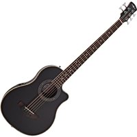 Roundback Electro Acoustic 5 String Bass Guitar Black