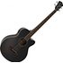 Ibanez AEB8E Black - Image 3