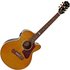 Epiphone J-200 EC Studio Parlor Vintage Natural - Image 3