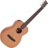 Furch Guitars Little Jane LJ10 CM Travel Guitar - Image 3