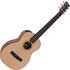 Furch Guitars Little Jane LJ10 SM Travel Guitar - Image 3